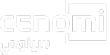 Footer Logo